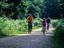 Image_2556-2