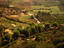 Image_256-1