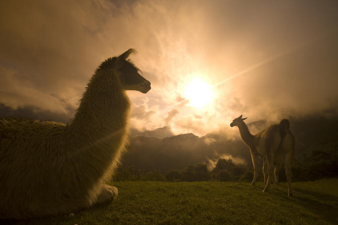 Inca Trail essentials
