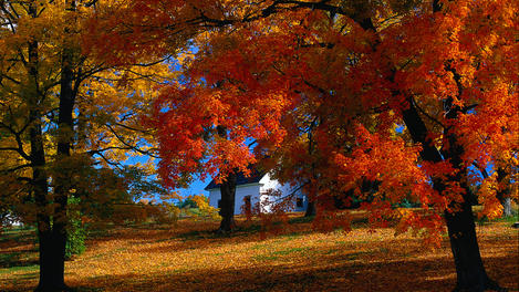 Autumn foliage in Barre - Vermont