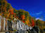 Trees with autumn foliage on top of roadway cutting cliff.