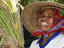 Sunhat thrashing rice, Lombok