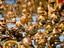 Image_25628-127