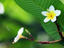 Image_25662-43