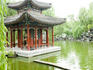 Water garden.