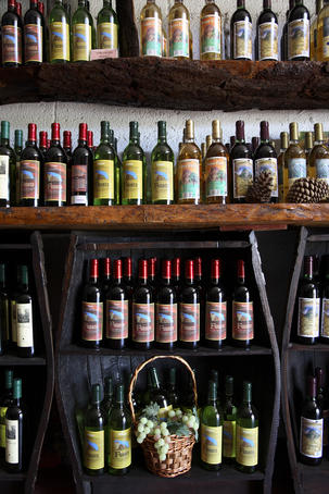 Wine shop in the local vineyards.