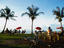Image_2568-8