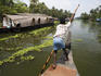 Leisurely punting down the backwaters near Alleppey.