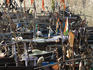 Sassoon Dock alive with activity.