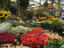 Image_25712-199