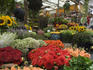 Bloemenmarkt Flower market.