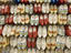 Image_25712-204