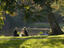 Image_25712-249