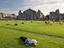 Image_25712-262