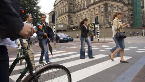 Cyclist stopped at pedestrian crossing near Royal Palace.