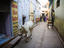 Lone white cow, India