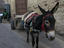 Image_25740-186