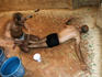 Massage in progress, Hamman Seffarine.