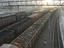Scrap metal, Trains, Kazakhstan
