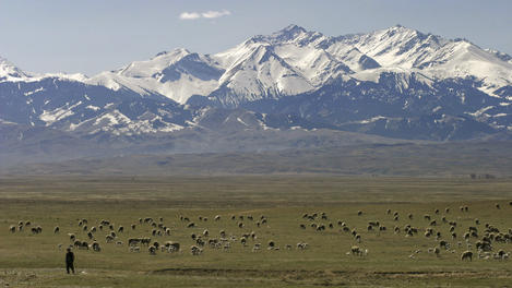 Image_25742-52