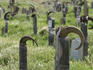 Huge horns from mountain goats, considered sacred, protecting tombs in village cemetery.