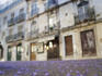 Purple flower petals littering sidewalk, old Lisbon.