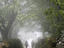 Image_25754-2