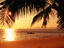 Image_25757-15