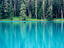 Forest, Canada