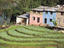 Terraced field, Bandare, Kathmandu