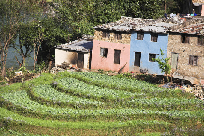 Terraced field, Bandare.