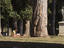 Villa Borghese, Rome