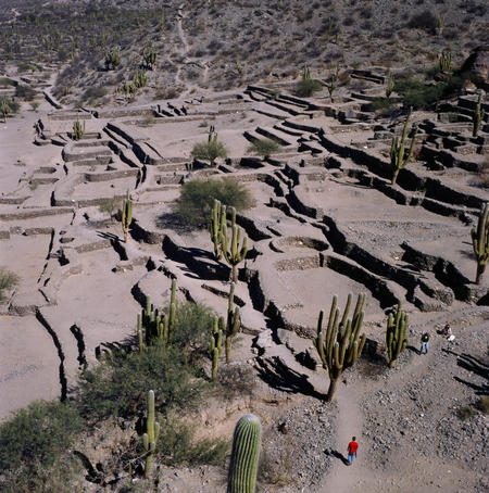 Cacti grow among the ruins at Quilmes.