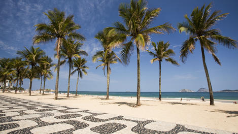 Ipanema Beach Brazil. Palm trees, Ipanema Beach,