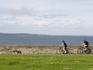 Cyclists, Leith and the Waterfront.