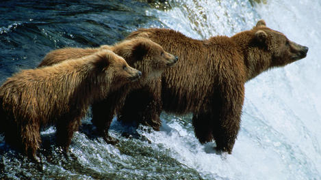 Image_2587-2