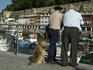 Marina at the Old Port, Parte Vieja, in Donostia San Sebastian (Basque Country).