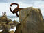 El Peine de Viento, sculpture by Eduardo Chillida.