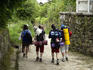 Pilgrims walking the Camino de Santiago.