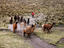 Image_25898-2