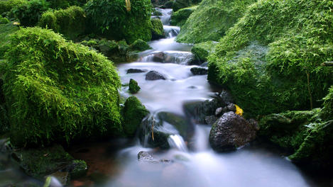 French Polynesia Tahiti