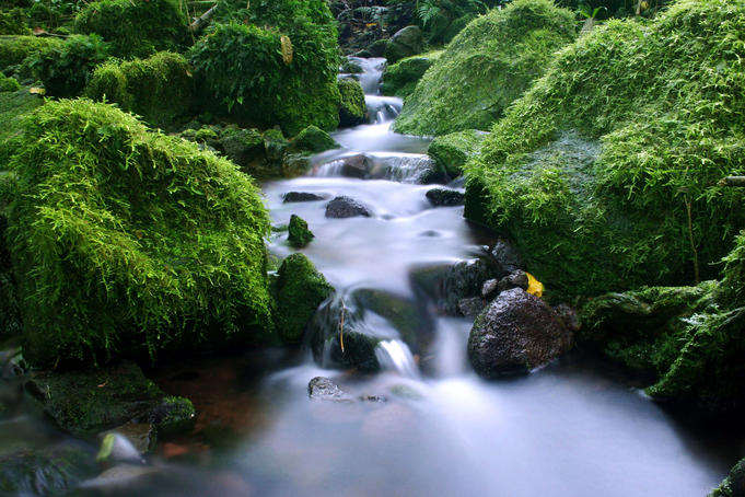 Green interior and stream of Moorea Island.