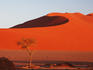 Red color of Sossusvlei sand dunes after sunrise.