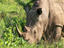 Image_25910-4