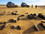 Image_25915-54