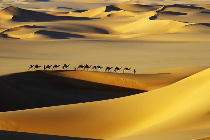 Tuareg nomads with camels in sand dunes of Sahara Desert, Arakou.