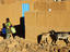Woman carrying buckets and goats, Niger