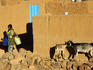 Woman carrying plastic buckets near mud brick village walls and nuzzling goats.