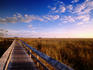 Pa-hay-okee boardwalk over River-of-Grass Sawgrass slough, at sunrise
