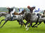 Image_25932-19
